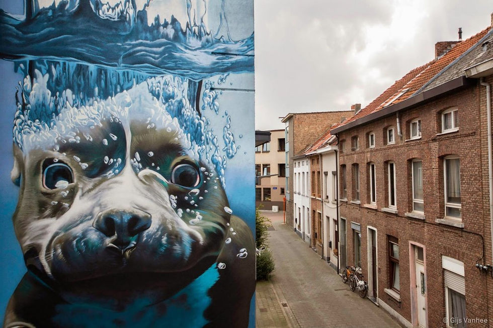 1888848_1461729710750648_5885222743545199452_o