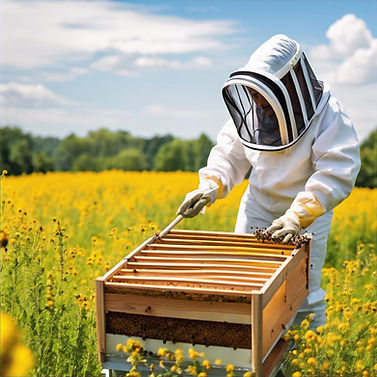 ada compliant visual of beekeeping and sustainability for blog_edited.jpg