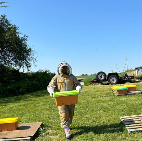 The Remarkable Hive: Celebrating Our First Batch of 2024 Honey!