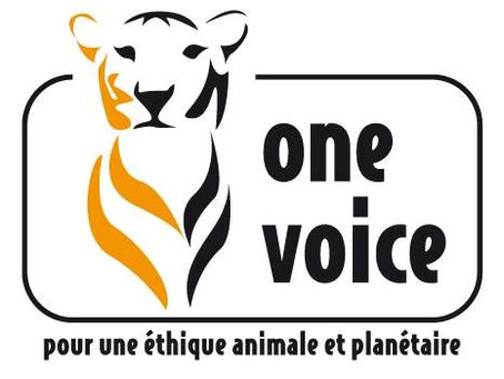 ONE VOICE, pour une éthique animale et planétaire