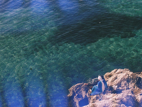  Le stress environnemental des éponges