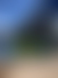 Paddle Adventure Experience at TygerValley Waterfront Canal, Cape Town. A Unique Urban Escape on Water