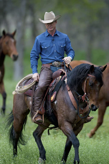 8592poster_small-1634048625304_360x.webp