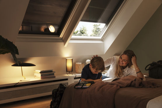 volet roulant type store sur velux