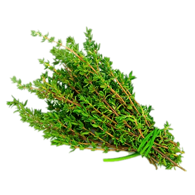 hiclipart.com (20).png