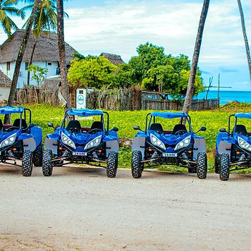 zanzibar sortie buggy