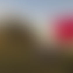 Voyage à Zanzibar - 13 jours à 7500€ pp - Itinéraire sur 3 étapes avec 3 jours de safari au Serengeti et 11 activités combinées