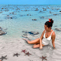 plongée etoiles de mer zanzibar.jpeg