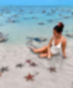 Etoiles de mer du sud zanzibar