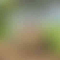 safari en famille lodge en tanzanie luxe