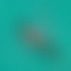 voyage tout compris zanzibar agence francophone avec activités