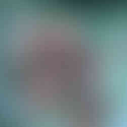 baignade avec les tortues de mer zanzibar