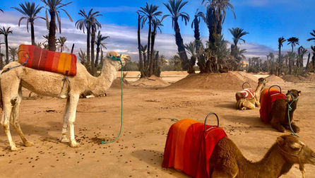 Un week-end à Marrakech ?