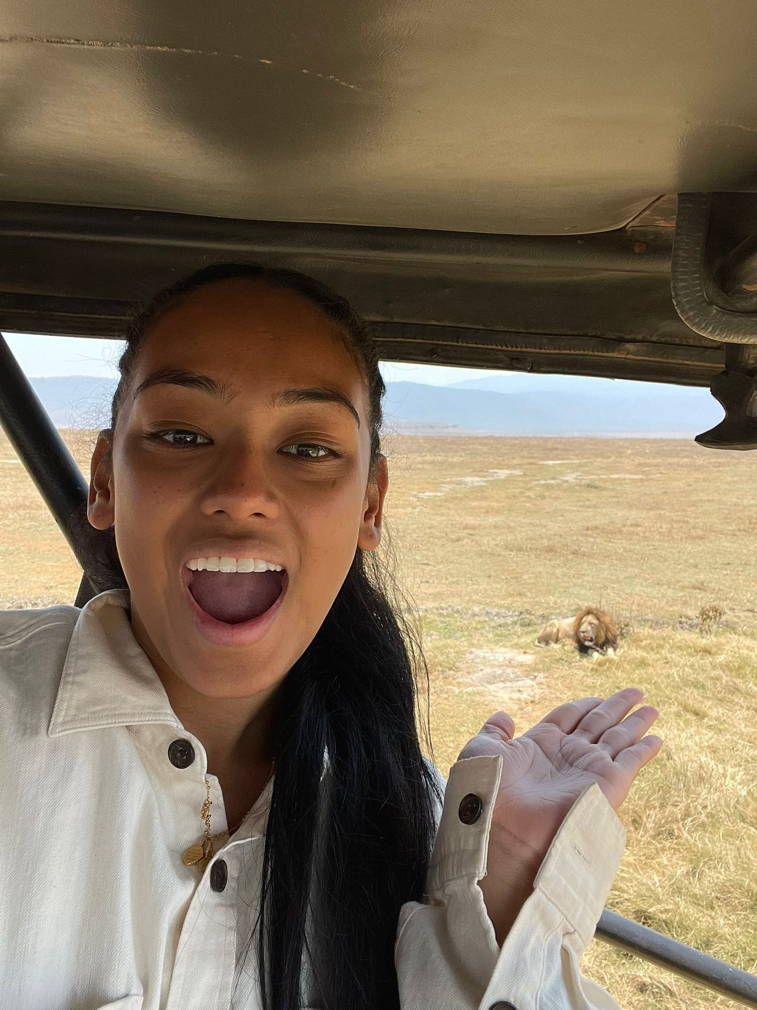 safari migration gnous tanzanie