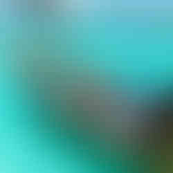 mnemba zanzibar prix activités