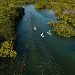 zanzibar activités que faire mangrove