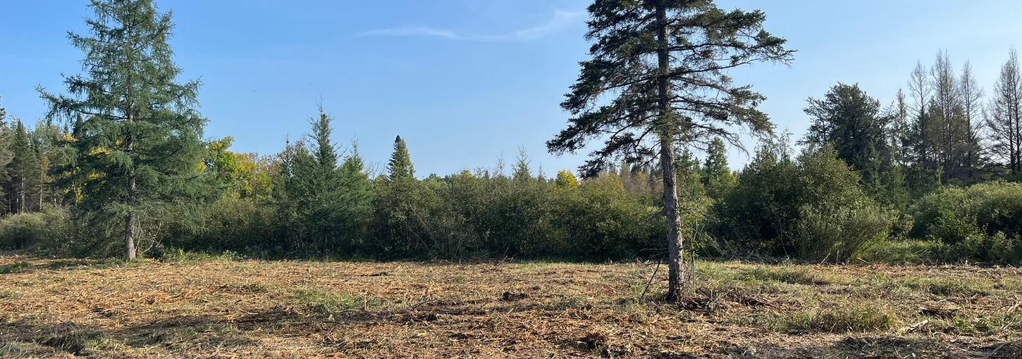Mulched wildlife opening