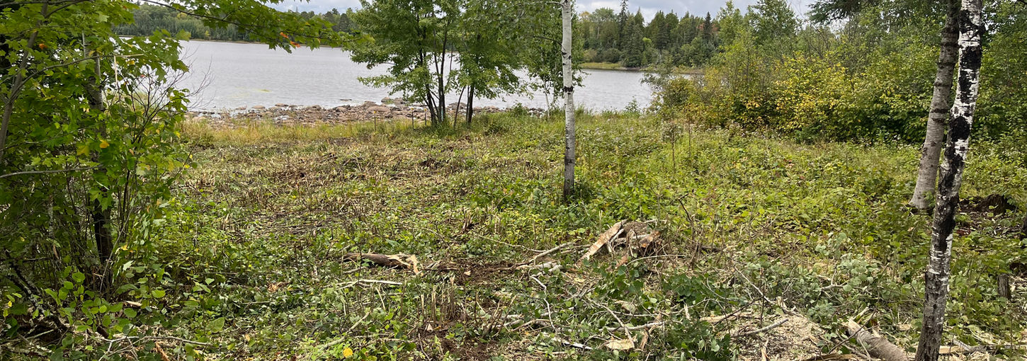 Mulched openining by water