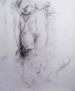 D46.jpg 2014-5-18-11:1:58