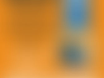 Piedra Libre y OLEI te invitan a un encuentro por Zoom