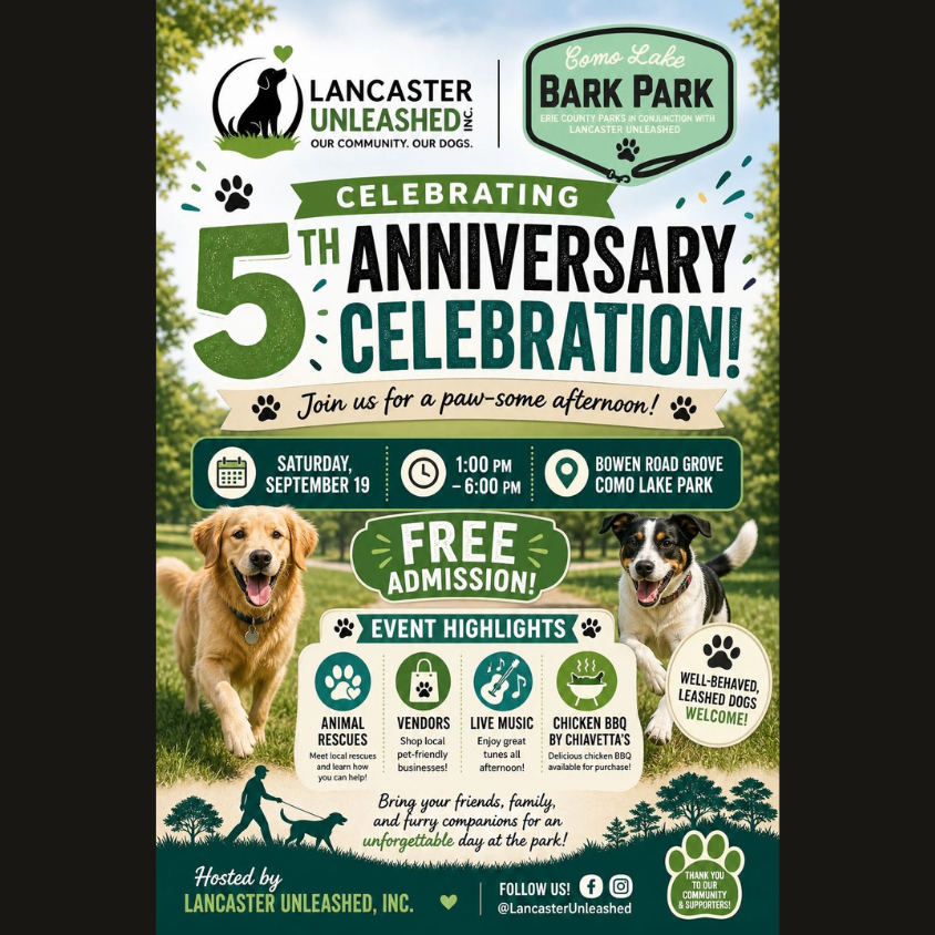 Como Lake Bark Park: 5th Anniversary Celebration