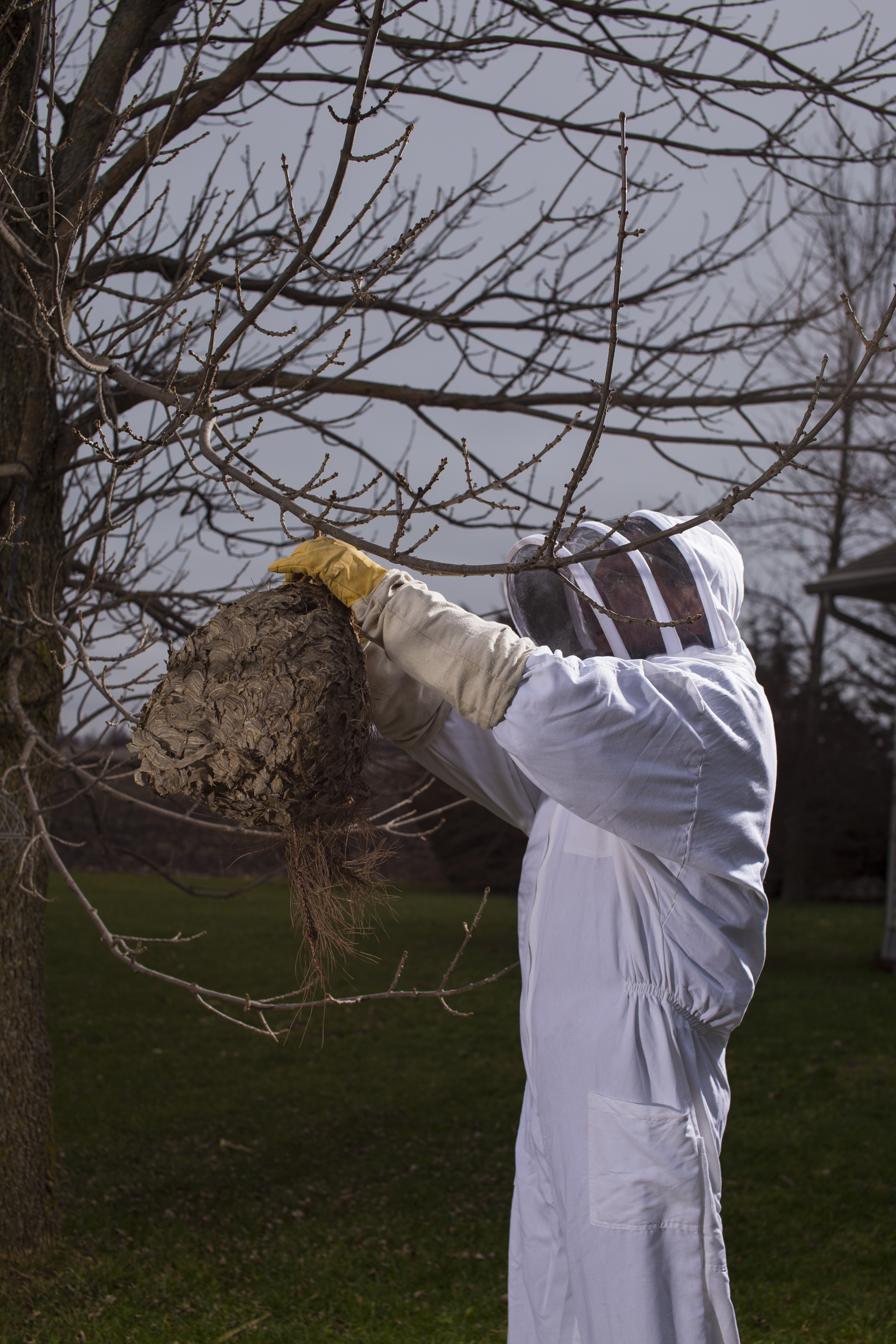 Eliminator Pest Management Co