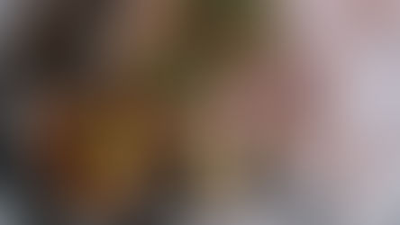 Top 6 Herbs and Their Benefits