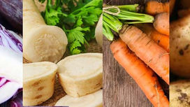 Christmas Favourites