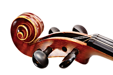 Violin Pegs_edited.png