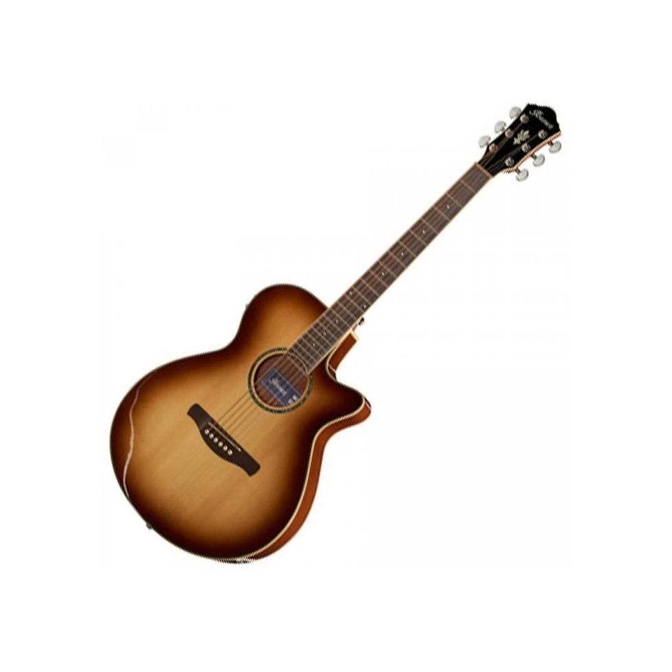 Electroacústica Metal Ibañez - COD: AEG10II NNB