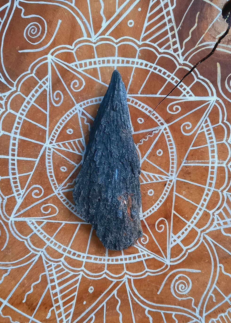 Miniatura: Vassoura de Bruxa (Cianita Negra)