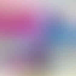 HYUNDAI MOTORS 르르르 하우스