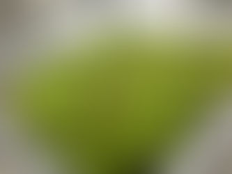 搾っております。