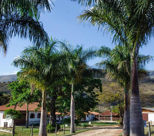 PHOTO-2021-06-16-07-46-07 (3).jpg