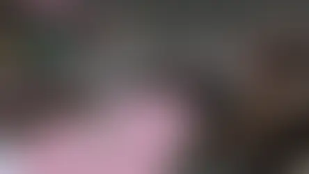 モモまるカフェ開店!ピーチ香るスナック劇場、今宵開幕!?