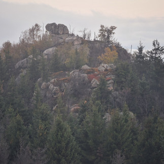 Der Hohnekamm im Harz
