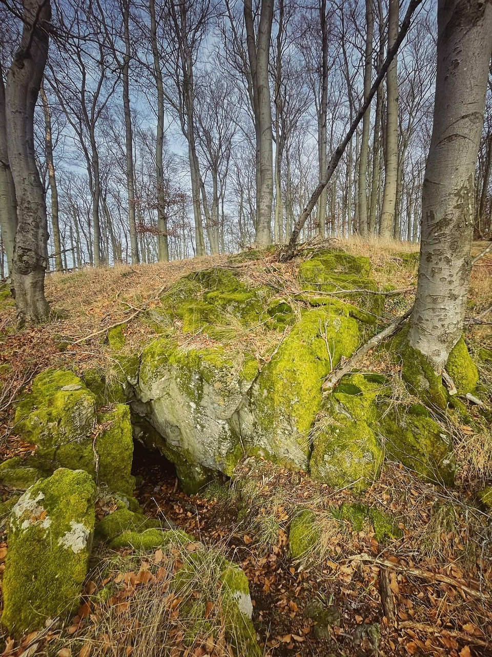 Die Wildholl Höhle