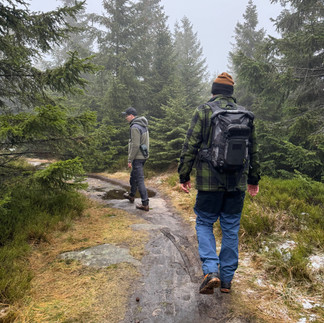 Schöner Pfad im Harz