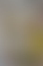 Nuovissimi prodotti per la salute dei capelli!