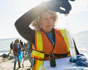 Environmental Scientist
