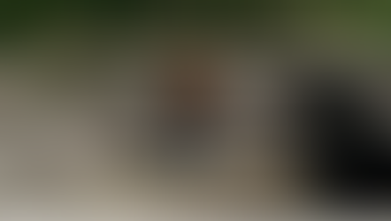 The Storyteller Studios wins Mid-America Emmy Award