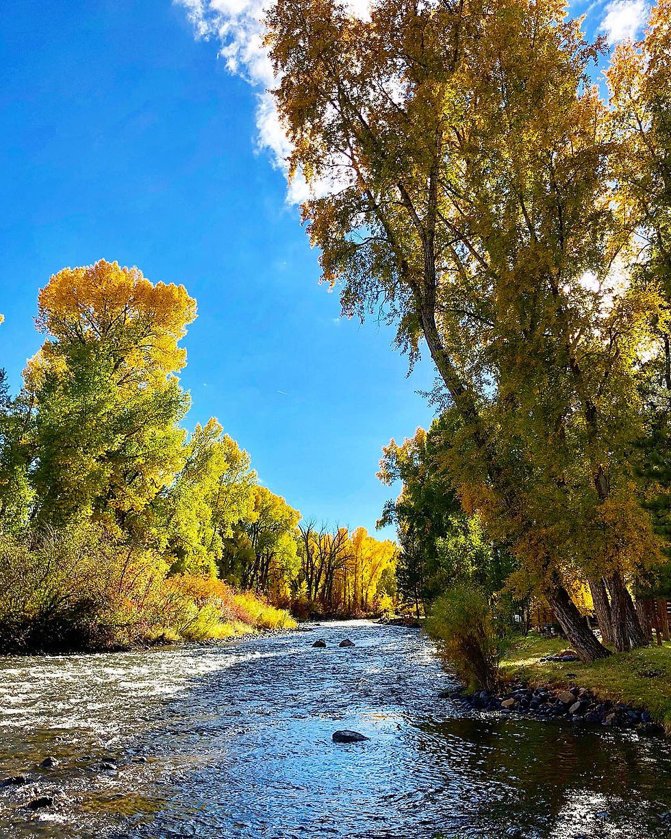 Fall, west view 