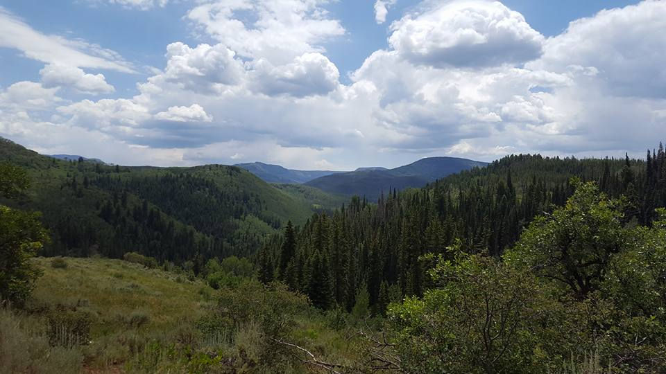 Mountain Views