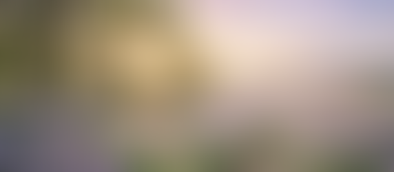 Por qué la primavera es la mejor temporada para volver a empezar 🌷