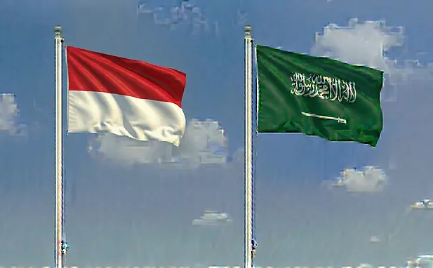 The flag of Monaco and the Saudi flag depicted together under a clean daylight sky for visa approval.