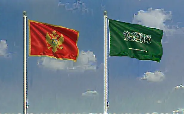 Montenegrin and Saudi flags waving against a clear blue sky representing online travel authorization.