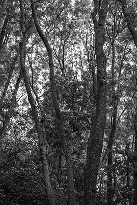 Untitled VII ©Livvy Eden Photography