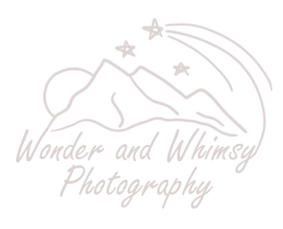 Wonder and Whimsy Photography logo featuring a minimalist mountain design with a crescent moon, three stars, and a shooting s