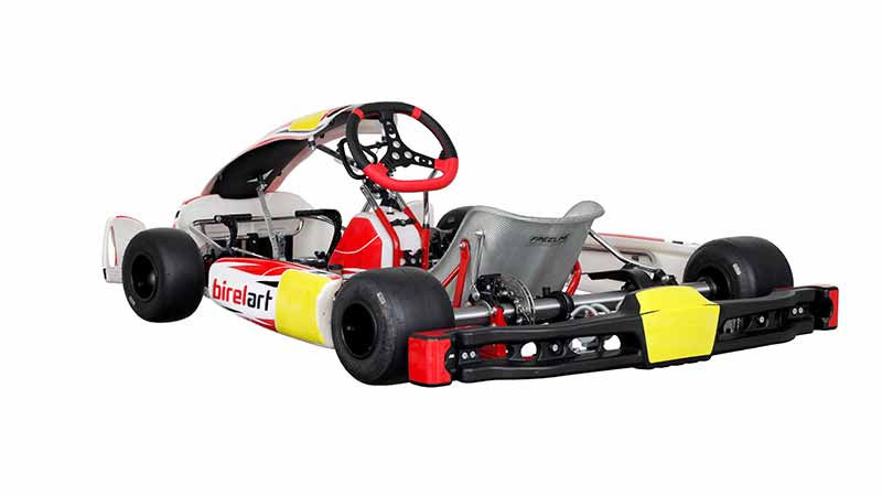 Miniatura: Birelart KZ S19