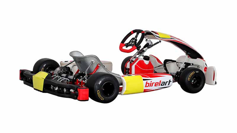 Miniatura: Birelart KZ S19